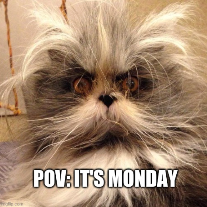 mgflip.com POV: IT'S MONDAY