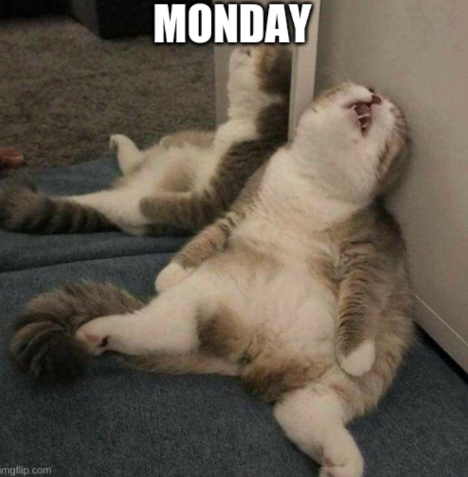 imgflip.com MONDAY