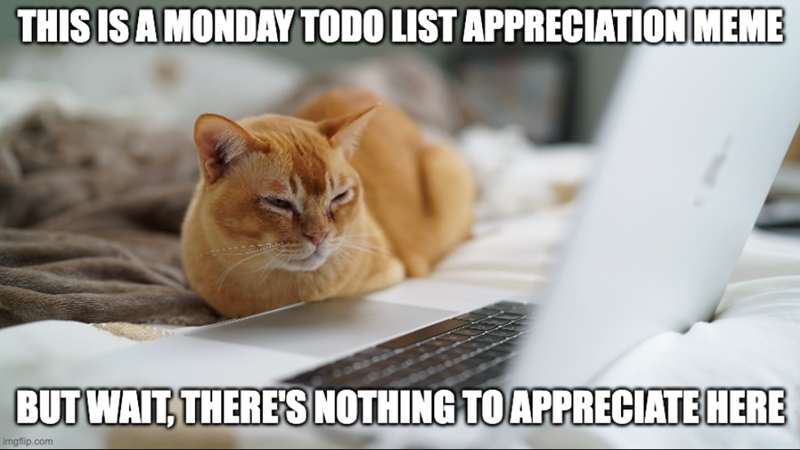 THIS IS A MONDAY TODO LIST APPRECIATION MEME BUT WAIT, THERE'S NOTHING TO APPRECIATE HERE imgflip.com