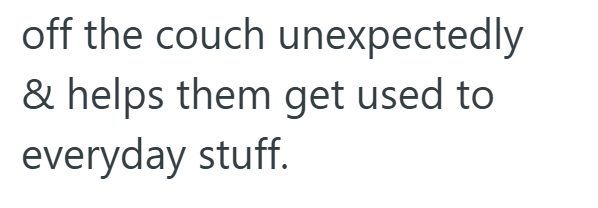off the couch unexpectedly & helps them get used to everyday stuff.