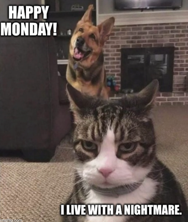 HAPPY MONDAY! imaflip.com I LIVE WITH A NIGHTMARE.