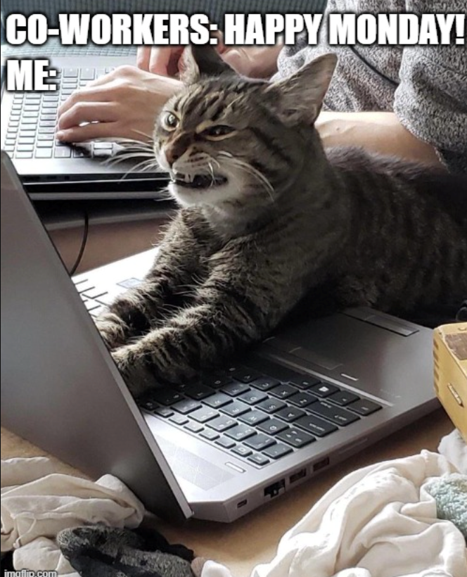 imgflip.com CO-WORKERS: HAPPY MONDAY! ME Y 9 A