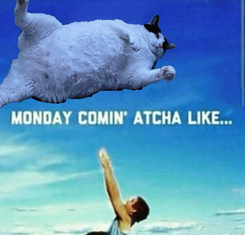 MONDAY COMIN' ATCHA LIKE...