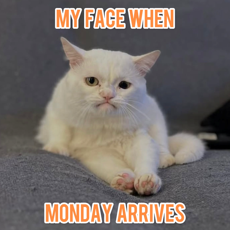MY FACE WHEN MONDAY ARRIVES