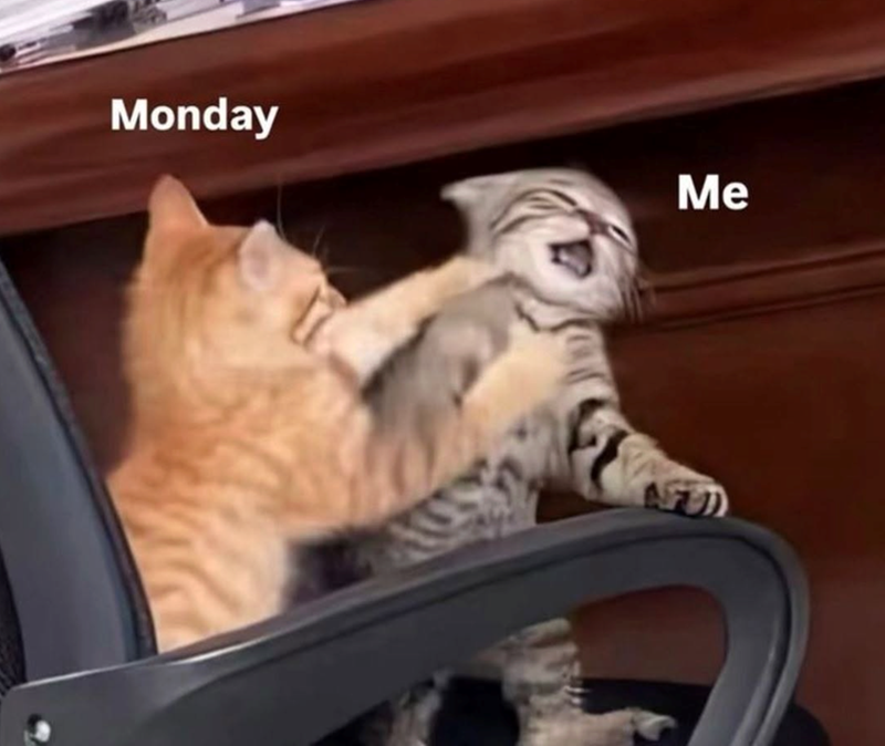 Monday Me