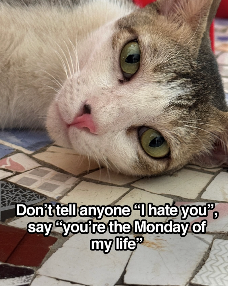 Don't tell anyone "I hate you", say "you're the Monday of my life"