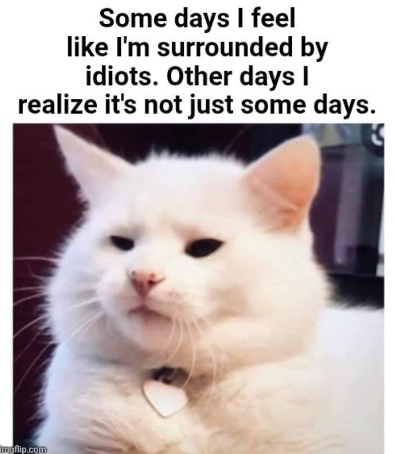 Some days I feel like I'm surrounded by idiots. Other days I realize it's not just some days. Imgflip.com