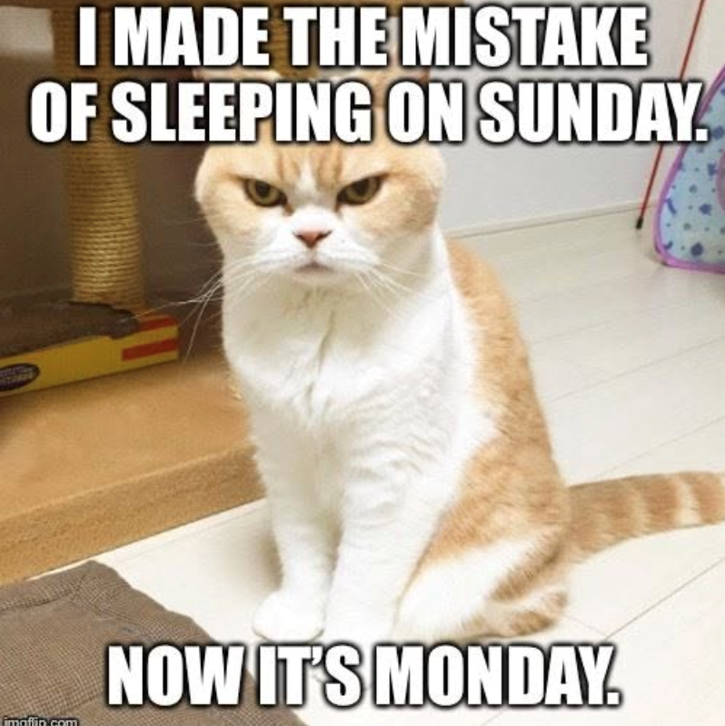 I MADE THE MISTAKE OF SLEEPING ON SUNDAY. imaflip.com NOW IT'S MONDAY.