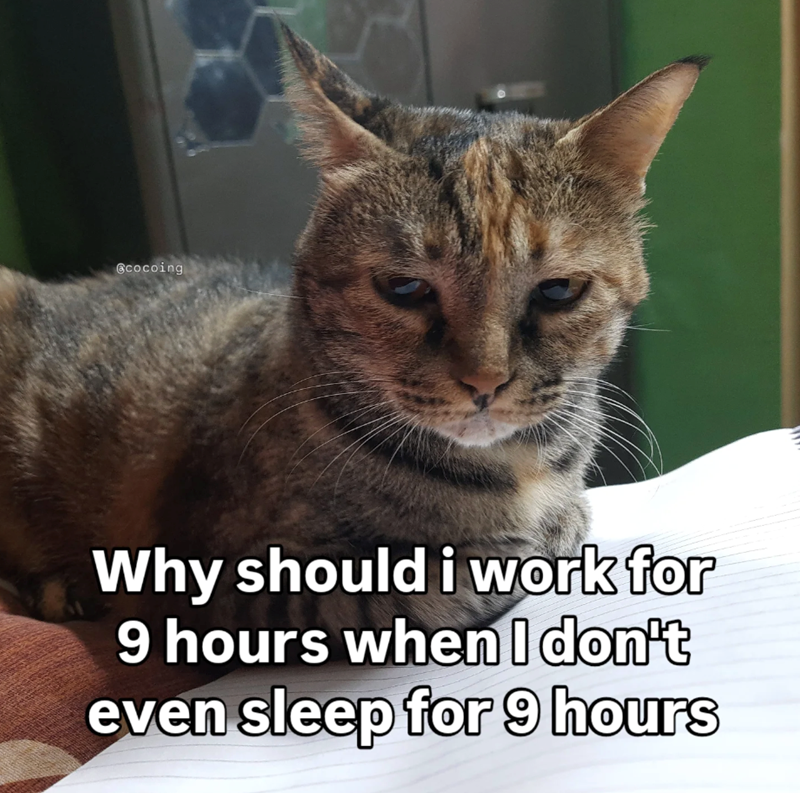 @cocoing Why should i work for 9 hours when I don't even sleep for 9 hours