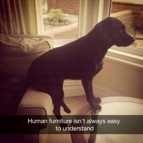 Human furniture isn't always easy to understand