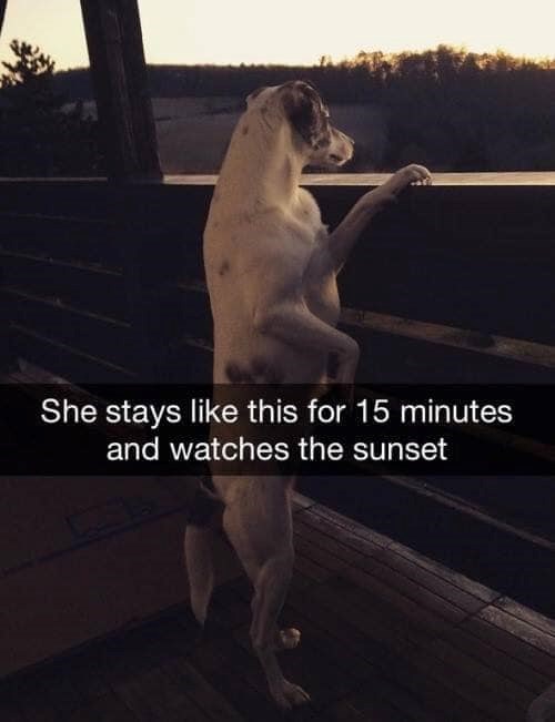 She stays like this for 15 minutes and watches the sunset