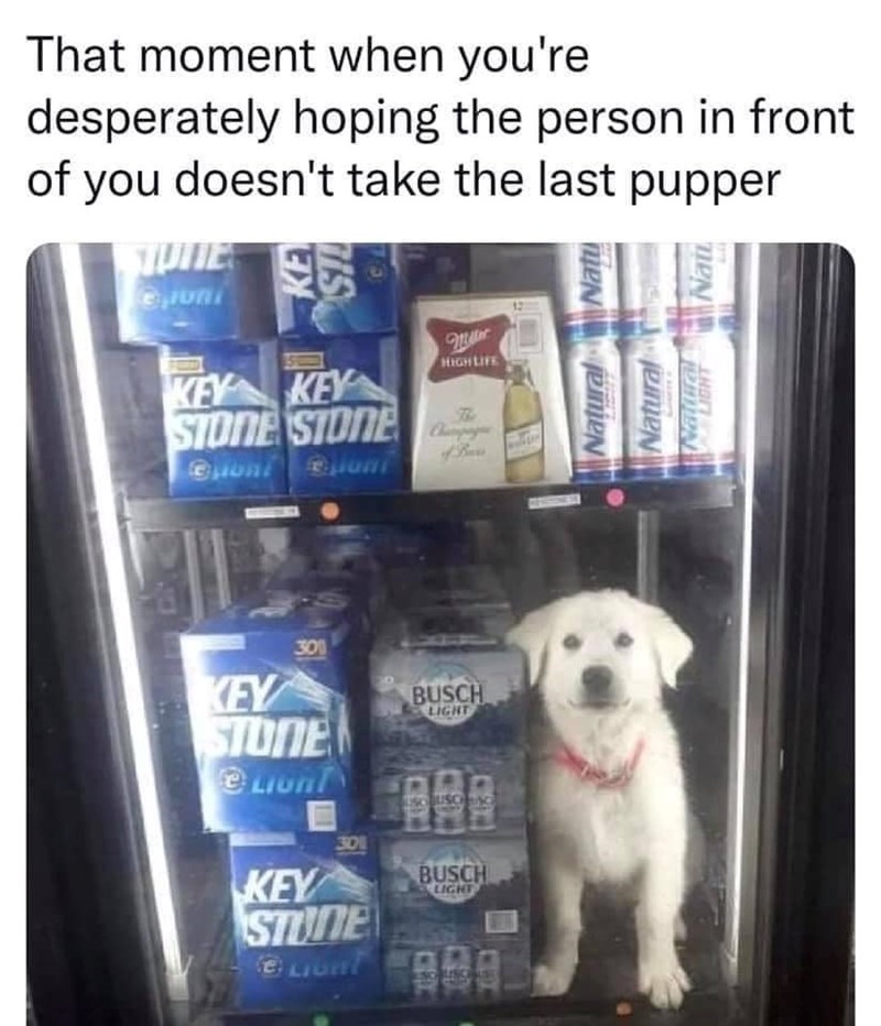 That moment when you're desperately hoping the person in front of you doesn't take the last pupper STUTTE euni KEY KEY STONE STONE jioni HIGH LIFE The Natural Natu Natural Nat 300 KEY STONE LIGHT 301 KEY STUNE BUSCH LIGHT C BUSCH LIGHT