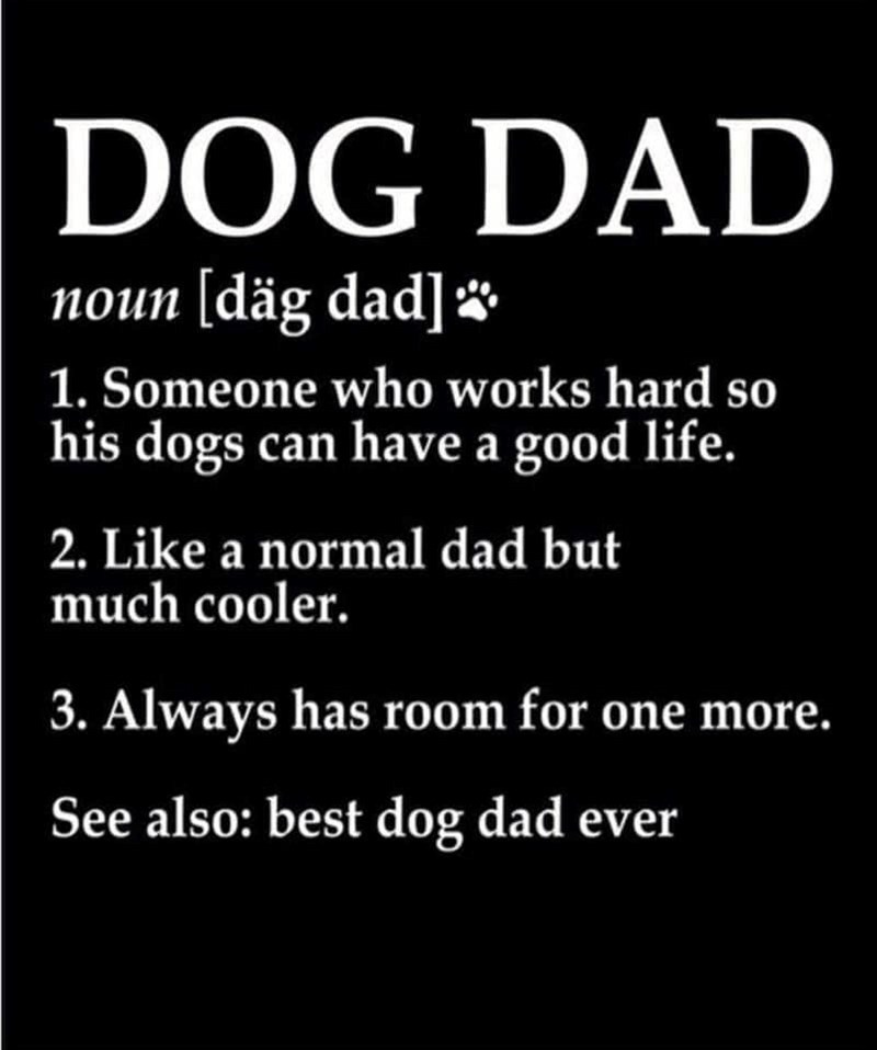 DOG DAD noun [däg dad]* 1. Someone who works hard so his dogs can have a good life. 2. Like a normal dad but much cooler. 3. Always has room for one more. See also: best dog dad ever