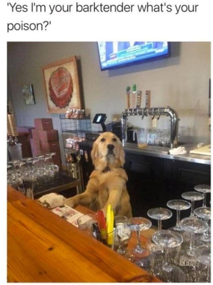 'Yes I'm your barktender what's your poison?' KBR