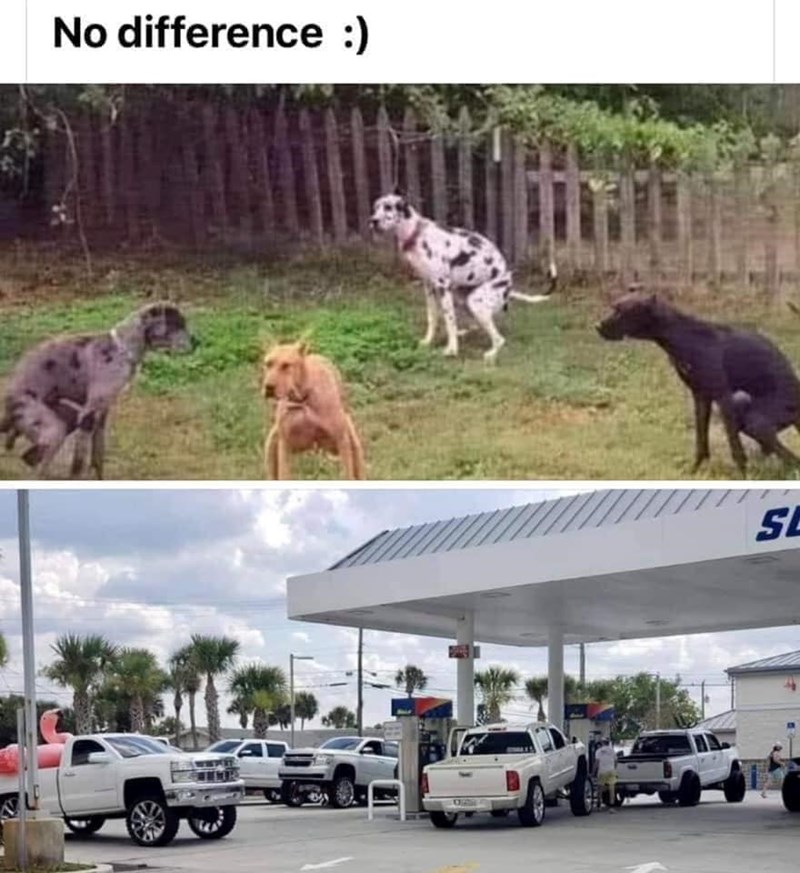 No difference :) SL