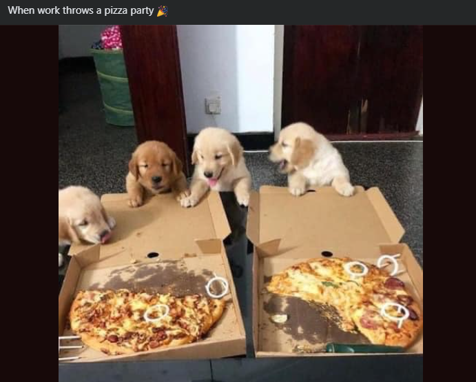 When work throws a pizza party