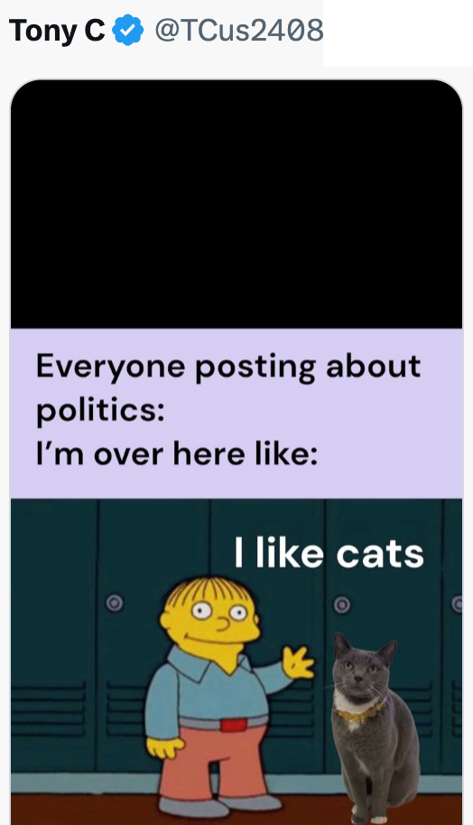 Tony C @TCus2408 Everyone posting about politics: I'm over here like: I like cats