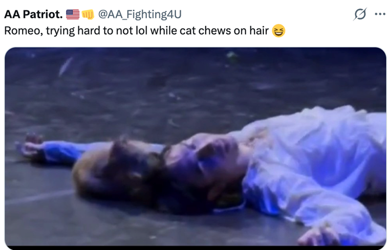 @AA_Fighting4U Romeo, trying hard to not lol while cat chews on hair AA Patriot. 0 ...