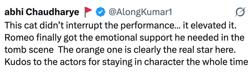 @AlongKumar1 abhi Chaudharye This cat didn't interrupt the performance... it elevated it. Romeo finally got the emotional support he needed in the tomb scene The orange one is clearly the real star here. Kudos to the actors for staying in character the whole time