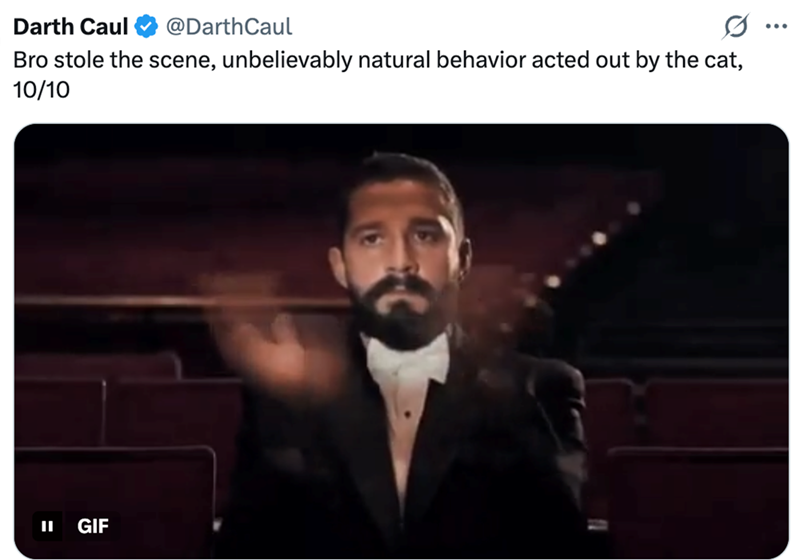 Darth Caul @DarthCaul Bro stole the scene, unbelievably natural behavior acted out by the cat, 10/10 = || GIF