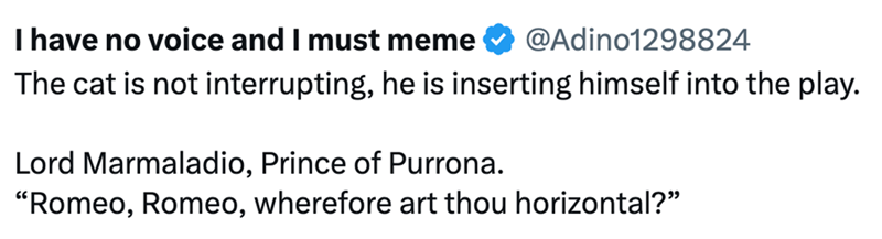 I have no voice and I must meme @Adino1298824 The cat is not interrupting, he is inserting himself into the play. Lord Marmaladio, Prince of Purrona. "Romeo, Romeo, wherefore art thou horizontal?"