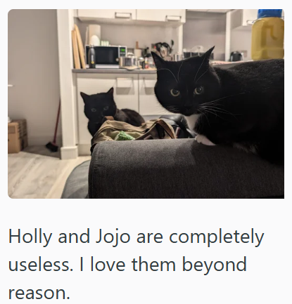 Holly and Jojo are completely useless. I love them beyond reason.