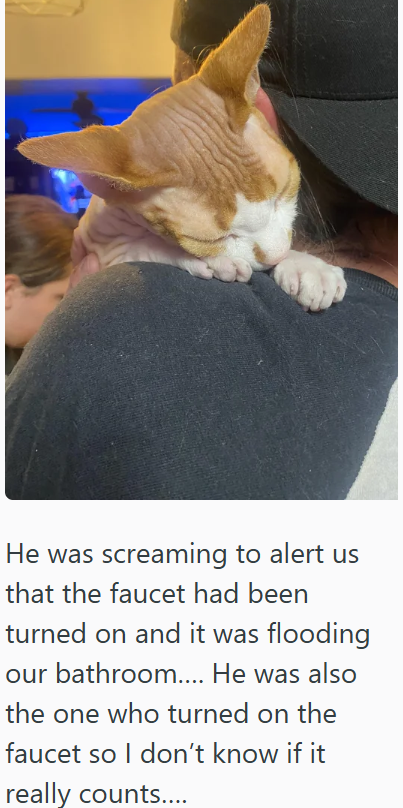 He was screaming to alert us that the faucet had been turned on and it was flooding our bathroom.... He was also the one who turned on the faucet so I don't know if it really counts....