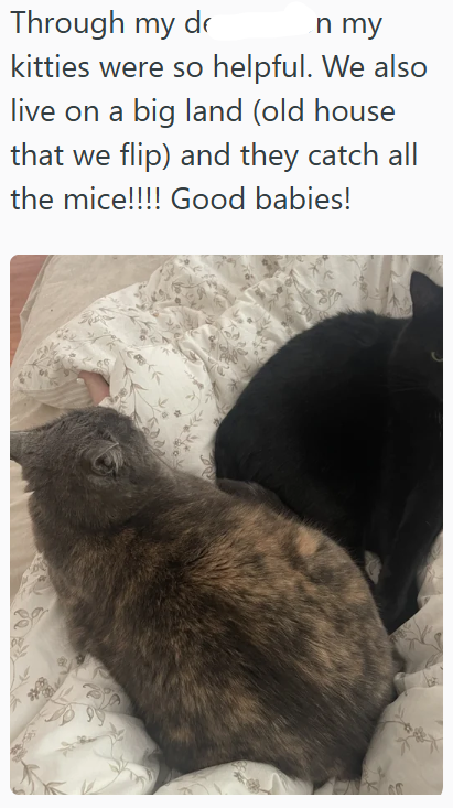 Through my dr n my kitties were so helpful. We also live on a big land (old house that we flip) and they catch all the mice!!!! Good babies!