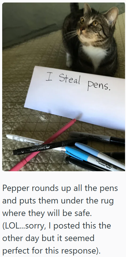 I Steal pens. Pepper rounds up all the pens and puts them under the rug where they will be safe. (LOL...sorry, I posted this the other day but it seemed perfect for this response).