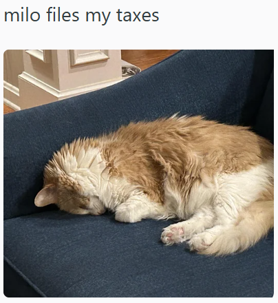 milo files my taxes