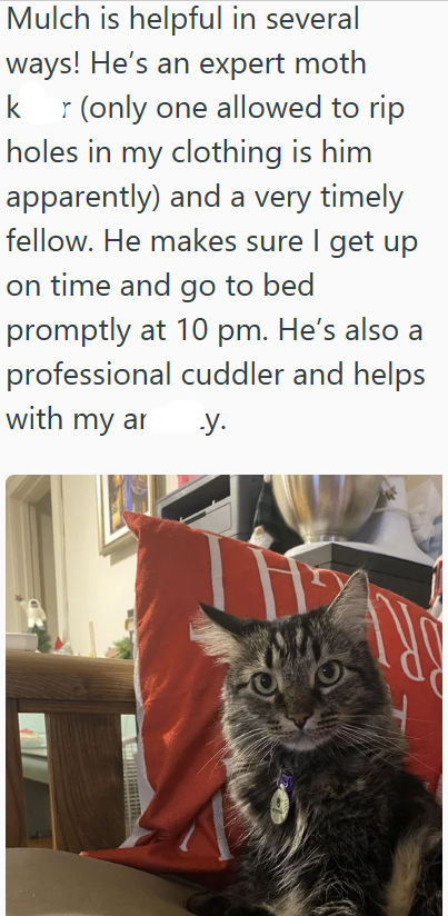 Mulch is helpful in several ways! He's an expert moth kr (only one allowed to rip holes in my clothing is him apparently) and a very timely fellow. He makes sure I get up on time and go to bed promptly at 10 pm. He's also a professional cuddler and helps with my ar .y.