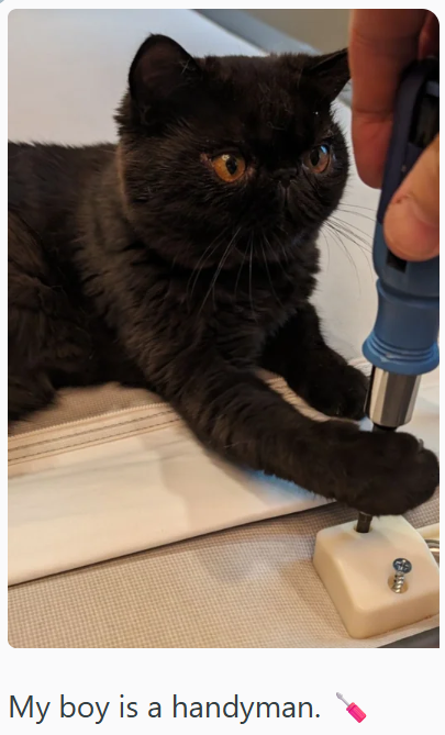 My boy is a handyman.