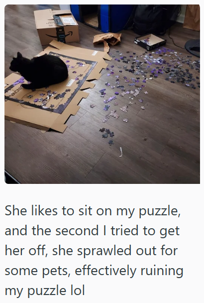 She likes to sit on my puzzle, and the second I tried to get her off, she sprawled out for some pets, effectively ruining my puzzle lol