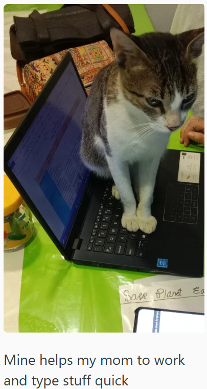 vie B Save Planet Ea Mine helps my mom to work and type stuff quick