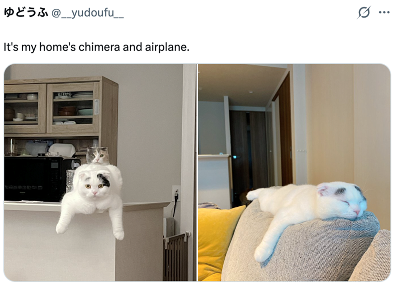 @_yudoufu___ It's my home's chimera and airplane. Q ...