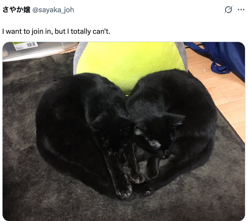 さやか嬢 @sayaka_joh I want to join in, but I totally can't. .. ...