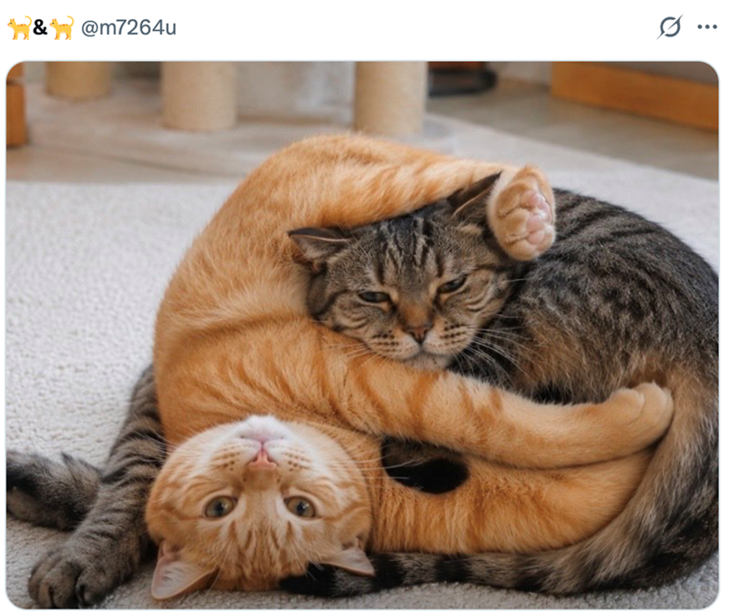 & @m7264u .. ...