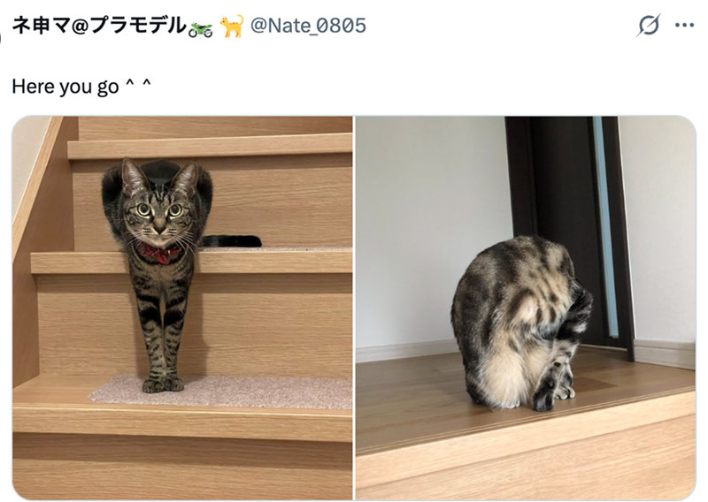 ネ申マ@プラモデル @Nate_0805 Here you go^ Λ