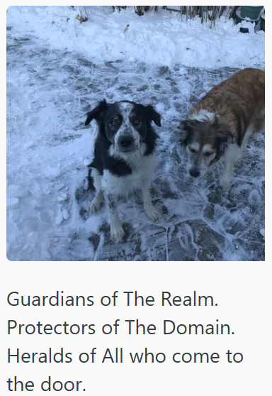 Guardians of The Realm. Protectors of The Domain. Heralds of All who come to the door.