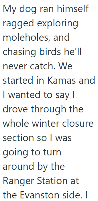My dog ran himself ragged exploring moleholes, and chasing birds he'll never catch. We started in Kamas and I wanted to say I drove through the whole winter closure section so I was going to turn around by the Ranger Station at the Evanston side. I