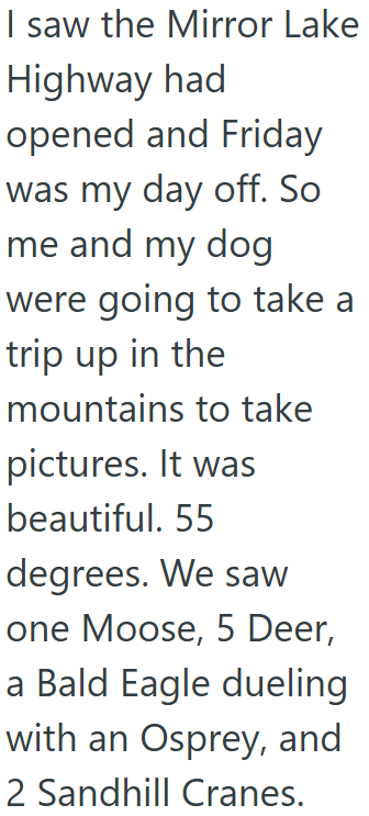 I saw the Mirror Lake Highway had opened and Friday was my day off. So me and my dog were going to take a trip up in the mountains to take pictures. It was beautiful. 55 degrees. We saw one Moose, 5 Deer, a Bald Eagle dueling with an Osprey, and 2 Sandhill Cranes.
