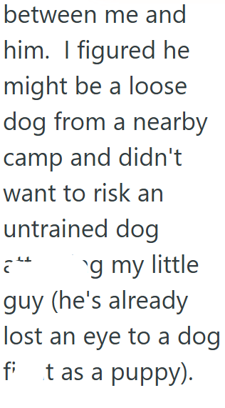between me and him. I figured he might be a loose dog from a nearby camp and didn't want to risk an untrained dog " g my little guy (he's already lost an eye to a dog fit as a puppy).