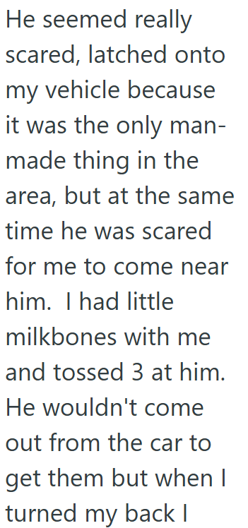 He seemed really scared, latched onto my vehicle because it was the only man- made thing in the area, but at the same. time he was scared for me to come near him. I had little milkbones with me and tossed 3 at him. He wouldn't come out from the car to get them but when I turned my back I