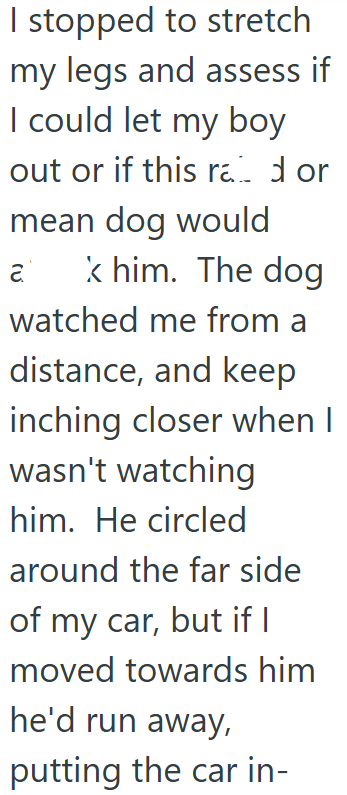 I stopped to stretch my legs and assess if I could let my boy out or if this rad or mean dog would a k him. The dog watched me from a distance, and keep inching closer when I wasn't watching him. He circled around the far side of my car, but if I moved towards him he'd run away, putting the car in-