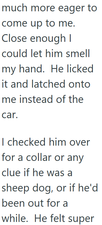 much more eager to come up to me. Close enough I could let him smell my hand. He licked it and latched onto me instead of the car. I checked him over for a collar or any clue if he was a sheep dog, or if he'd been out for a while. He felt super
