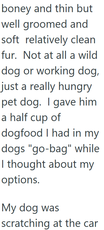 boney and thin but well groomed and soft relatively clean fur. Not at all a wild dog or working dog, just a really hungry pet dog. I gave him a half cup of dogfood I had in my dogs "go-bag" while I thought about my options. My dog was scratching at the car