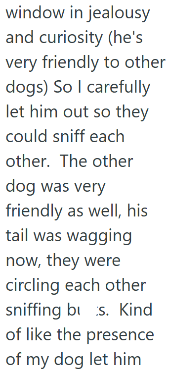 window in jealousy and curiosity (he's very friendly to other dogs) So I carefully let him out so they could sniff each other. The other dog was very friendly as well, his tail was wagging now, they were circling each other sniffing bus. Kind of like the presence of my dog let him