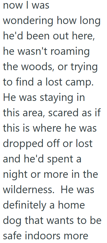 now I was wondering how long he'd been out here, he wasn't roaming the woods, or trying to find a lost camp. He was staying in this area, scared as if this is where he was dropped off or lost and he'd spent a night or more in the wilderness. He was definitely a home dog that wants to be safe indoors more