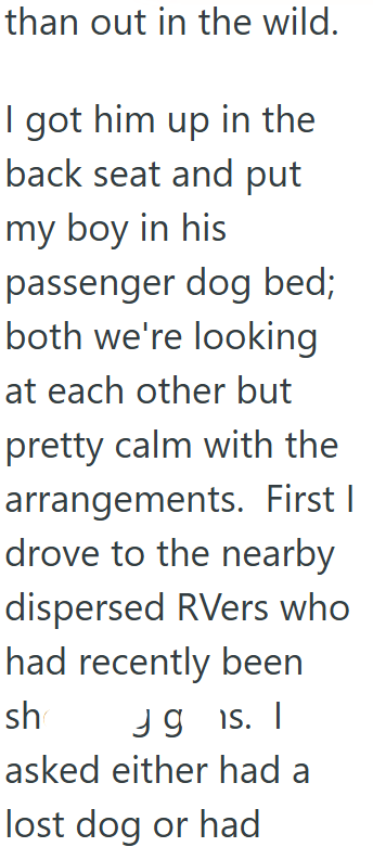 than out in the wild. I got him up in the back seat and put my boy in his passenger dog bed; both we're looking at each other but pretty calm with the arrangements. First I drove to the nearby dispersed RVers who had recently been sh Jg is. I asked either had a lost dog or had
