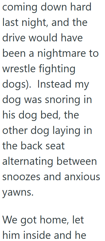 coming down hard last night, and the drive would have been a nightmare to wrestle fighting dogs). Instead my dog was snoring in his dog bed, the other dog laying in the back seat alternating between snoozes and anxious yawns. We got home, let him inside and he